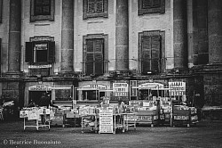 Napoli, le librerie di Piazza Dante